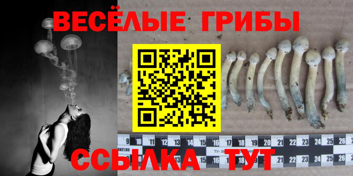 Псилоцибиновые грибы MAGIC MUSHROOMS  Вход с VPN  Конаково 